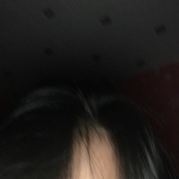 xel